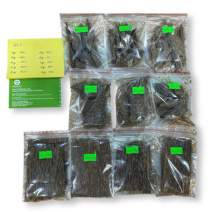 Combo 10 Types Oud Wood 10 grams– CBT8 (Package)